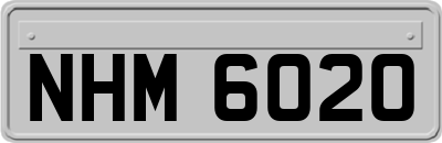 NHM6020