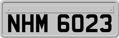 NHM6023