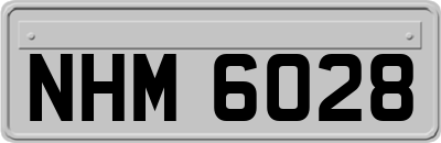 NHM6028