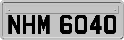 NHM6040