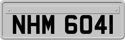 NHM6041