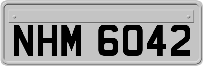 NHM6042