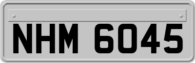 NHM6045