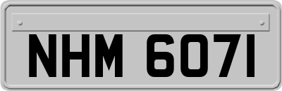 NHM6071