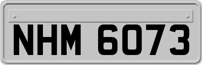 NHM6073