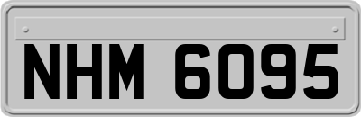 NHM6095