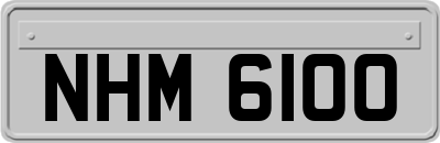 NHM6100