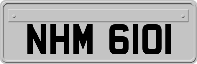 NHM6101