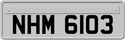 NHM6103