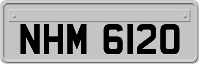 NHM6120