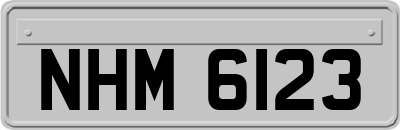NHM6123