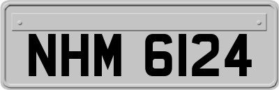 NHM6124