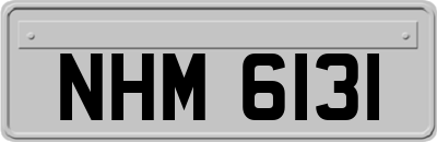 NHM6131