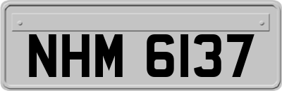 NHM6137