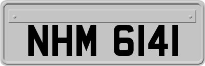 NHM6141