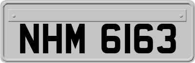 NHM6163
