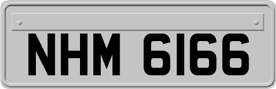 NHM6166