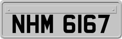NHM6167