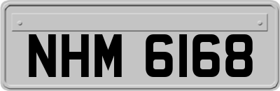 NHM6168