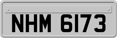 NHM6173