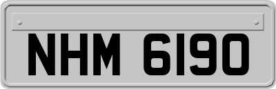 NHM6190