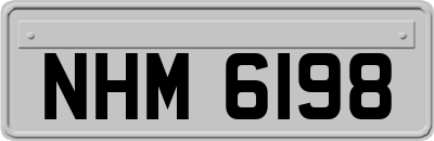NHM6198