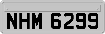 NHM6299