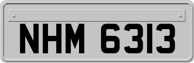 NHM6313