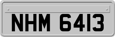 NHM6413