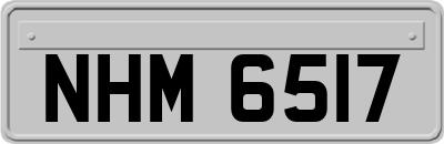 NHM6517