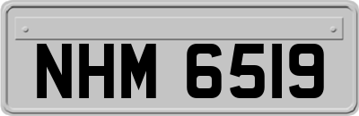 NHM6519