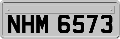 NHM6573