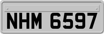 NHM6597