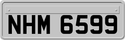NHM6599