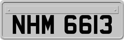 NHM6613