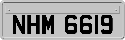 NHM6619
