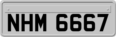 NHM6667