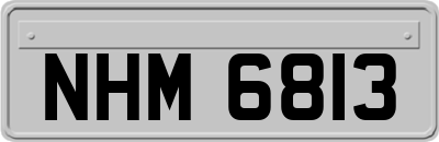NHM6813