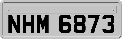 NHM6873
