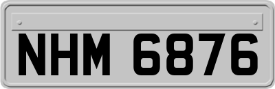 NHM6876