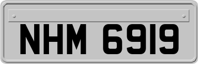 NHM6919