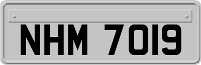 NHM7019