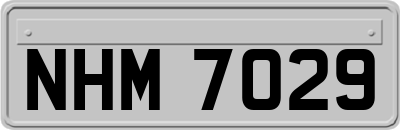 NHM7029