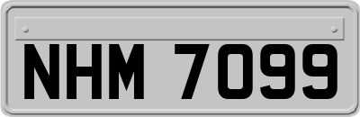 NHM7099