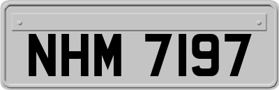 NHM7197