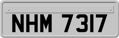 NHM7317