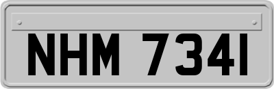 NHM7341