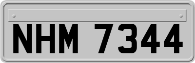 NHM7344