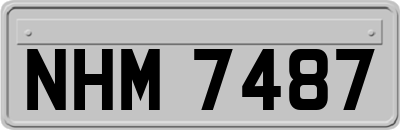 NHM7487