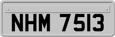 NHM7513